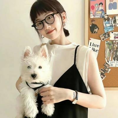 花圃里的蝴蝶